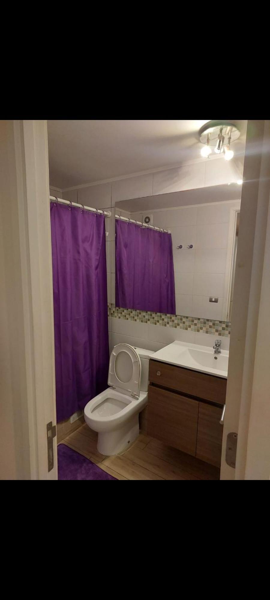 Apartamento Departamento Centrico En Santiago